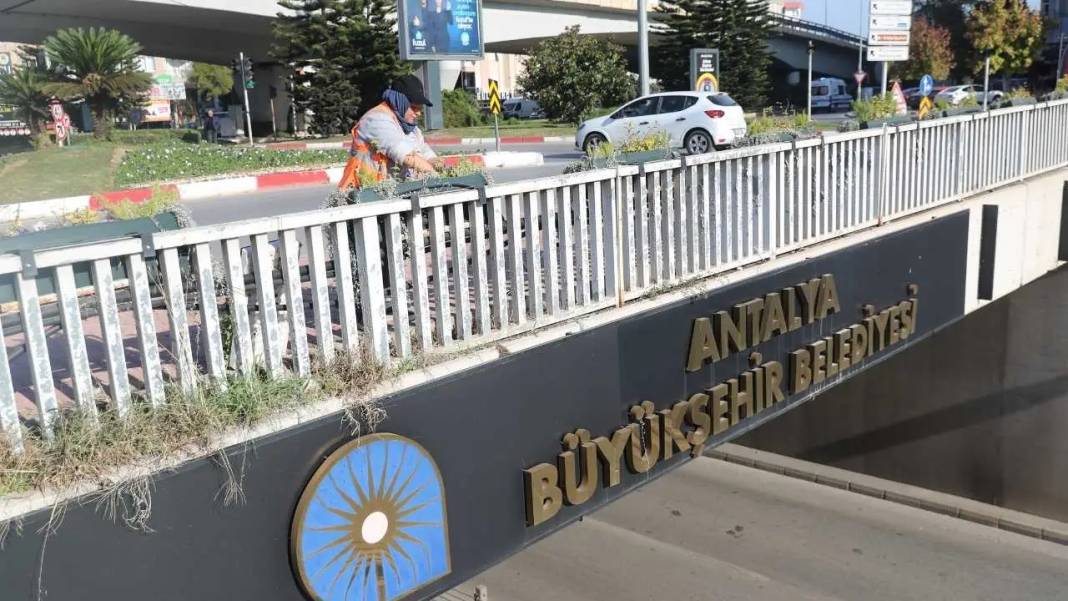 Antalya’ya Kış 4 Milyon Çiçekle Rengarenk Gelecek! 2